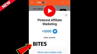 Pinterest Affiliate Marketing Cats Code | Pinterest Affiliate Marketing cats video code today