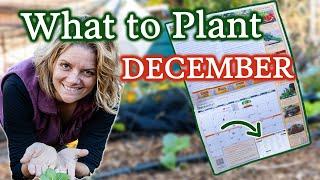 December Planting Guide & Garden Planning for 2023