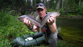 A HUGE FISH. THEY RARELY GET CAUGHT. FISHING IN THE WILD TAIGA.