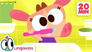 Healthy Habits and DAILY ROUTINES Songs for kids  Lingokids