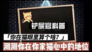 测测你在你家猫心中的地位？你在猫眼里到底算个啥？Test your place in your cat's heart？What are you in the eyes of a cat?