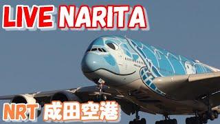 LIVE at NARITA International Airport Plane Spotting　2024.05.25　成田空港ライブカメラ 成田空港　NRT/RJAA