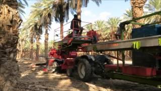 מערך גדיד ממוכן -  Israeli agricultural technology by AGROM