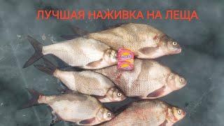 Вот это кабан!! Лучшая наживка на ЛЕЩА! Цимла-Цимлянское водохранилище.