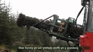 Careers in Forestry  Jamie Jukes, Managing Director, Spencer Environmental Care
