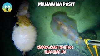 EP 349: MAMAW NA PUSIT NAPAKA RAMING ITLOG LIBO-LIBO ITO KAPAG NA PISA NA DAMING PAPANAING PUSIT