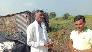 Sendrya sheti Karnare uttam shetkari