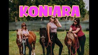 KONIARA - (PARODIA "GENZIARA" - GENZIE) - SONIKOHOLICZKA