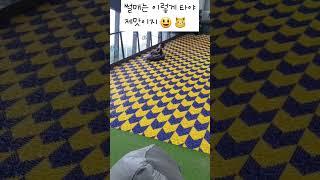썰매는 이렇게 타야 제맛이지 ㅋㅋ