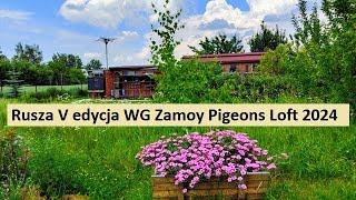 Rusza V edycja WG Zamoy Pigeons Loft 2024