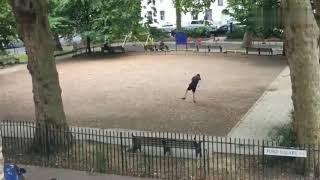 课本新用法，被上课老师耽误的学生，看完后我好像学会了一套拳法