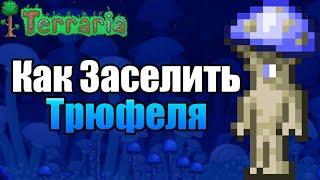 КАК ЗАСЕЛИТЬ ТРЮФЕЛЯ [Terraria] [1.4] [NPC] Террария Трюфель [Гайд]