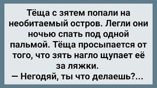 Теща с Зятем Попали на Необитаемый Остров! Сборник Свежих Анекдотов! Юмор!