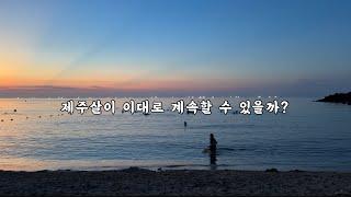 제주도 이주 쉽게 결정하면 안되는 이유