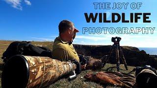 THE JOY OF WILDLIFE PHOTOGRAPHY | NESTING RAVENS & NEW SPRING ARRIVALS