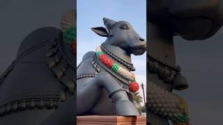 The World Tallest Nandhi Statue #salem #nandhi #talleststatueintheworld #shiva #nandishwar