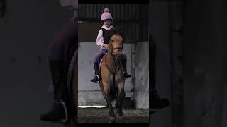 Natalia & Louis #horseriding #natalia #equestrian #pony #snowballfarm #horse #louis #girl