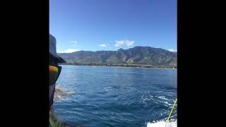 Hydrofoil Lesson Kiteboarding Paradise Hawaii