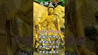 选择放下#禅悟人生 #人生感悟 #佛语禅心