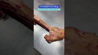 БЫЦАН МЯСНОЙ КОРОЛЬ. 5 СЕРИЯ.