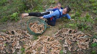 A single mother went to the rocky mountain to dig ginger to sell, slipped and fell and got injured.