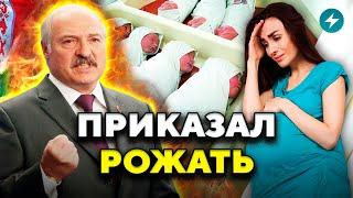 Новые требования: это касается каждого / Дефицит продуктов близко? // Новости Беларуси