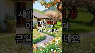 (실제사연) 20억 땅 아들주려다 그만