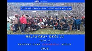 2018 | Mr. Pankaj Negi ji | Pruning Camp | BASHKOLA | Kullu |  Lets Grow Apple