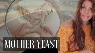 How To Make Italian #Motheryeast Lievito Madre