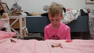 Lego Building | Noah's Nook