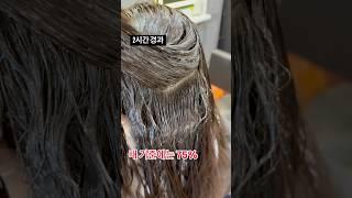 안전하게 기다릴줄 아는 연화를 알아야 건강하게 강곱슬을 매직할 수 있다! #노하우