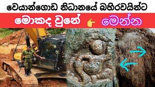 වෙයාන්ගොඩ නිධානයෙ බහිරවයින්ට වෙච්චි දේ ? treasure in sri lanka huning nidan wasthu nidangodaganima