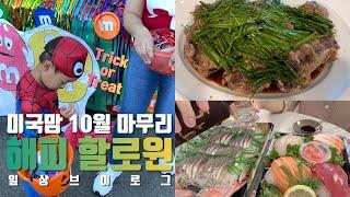 미국일상 | 할로윈 주간 l 프리스쿨 Trunk or Treating, 대한옥 st. 홈메이드 소꼬리찜, 할로윈쿠키 데코레이팅, 전어회와 함께한 주말 술상