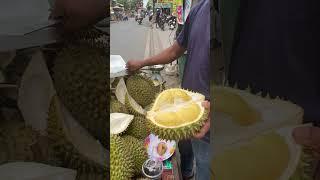 Sầu riêng ri 6 ngon từ thịt ngọt từng múi nhe cả nhà @utquanmientay