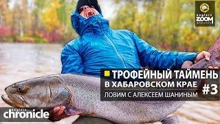 Трофейный таймень в Хабаровском крае. Ловим с Алексеем Шаниным. Часть 3. Anglers Chronicle