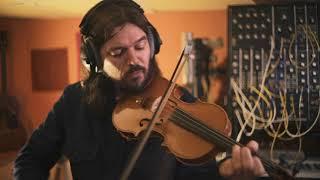 Bibio - Oakmoss (Session)