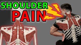 TOP 8 Shoulder Pain Relief Stretches | Knots , Stiffness , Shoulder and Mid Back Ache , Neck