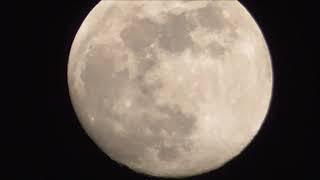 Comparing Panasonic W850 & V260 Zoom Picture Sound Quality on Belfast Full Worm Moon
