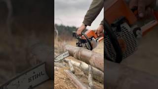 STIHL - MS 250 робота