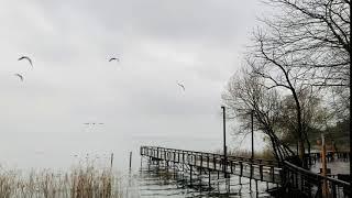 Serdivan Gölpark, Sakarya - Türkiye ( Serdivan Lakepark, Sakarya - Turkey)