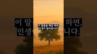 인생을 바꾸는 말습관 5가지, 지금부터 시작해보세요. #마음의소리로쓰는글 #명언 #좋은글 #멋진글귀 #공감글귀 #긍정의말 #인생조언 #지혜 #오디오북 #긍정적마인드