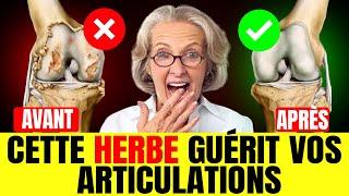  C'est la MEILLEURE Herbe pour la Douleur dans les ARTICULATIONS ! 