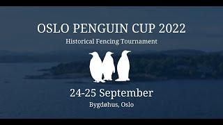 Oslo Penguin Cup 2022 | All Longsword and Sword & Buckler Finals Livestream | HEMA