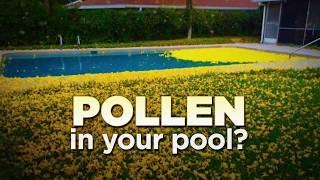 Natural Chemistry Pool First Aid Treats Pollen in Swimming Pools