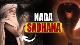 IN 7 DAYS | EXPERIENCE NAGAS GRACE THROUGH THIS INTENSE SADHNA