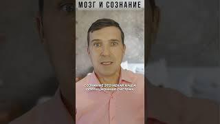 Мозг и сознание Различия, которые стоит знать