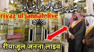 Riyazul jannah jane ka asan tarika | riyaz ul jannah ki booking | riyazul jannah appointment
