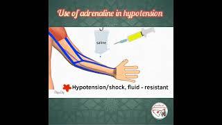  HOW TO USE ADRENALINE (EPINEPHRINE) IN HYPOTENSION/SHOCK ? #medicine #pediatrics #epinephrine