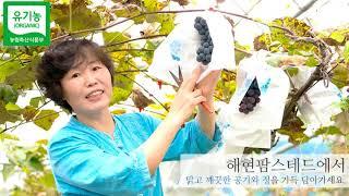 전북 진안군 해현팜스테드