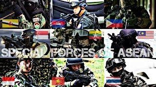 Special Forces of ASEAN - Swift and Deadly